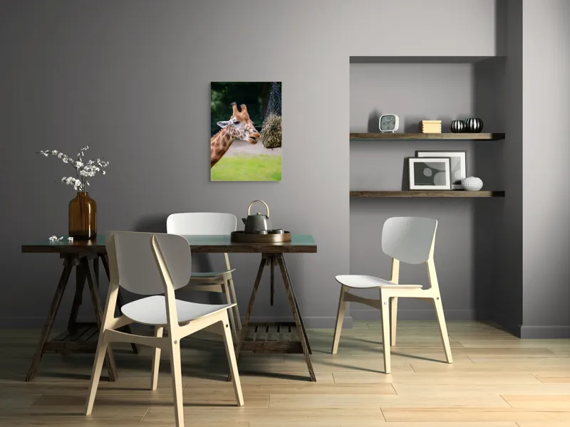 Tablou Canvas, "Girafa savurând prânzul suspendat", Giraffe, Patches, Browsing, Tall, Eating, Nature, 50 x 70 cm – poza 5