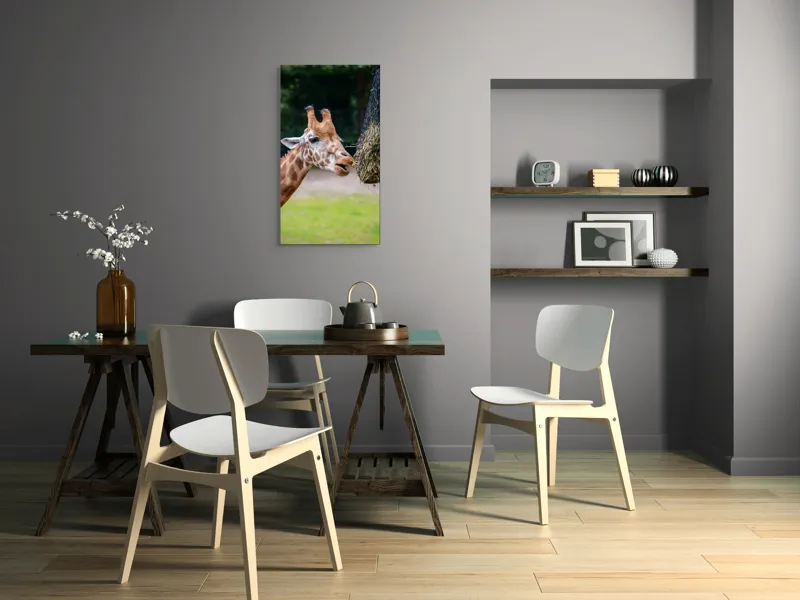 Tablou Canvas, "Girafa savurând prânzul suspendat", Giraffe, Patches, Browsing, Tall, Eating, Nature, 50 x 90 cm – poza 4
