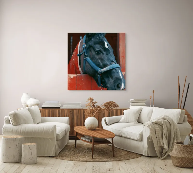 Tablou Canvas, "Calul nobil privește zarea liniștit", Cal, Zgarda, Negru, Lemn, Adăpost, Privire, Blândă, Ham, Dungă, Albă., 100 x 100 cm – poza 3