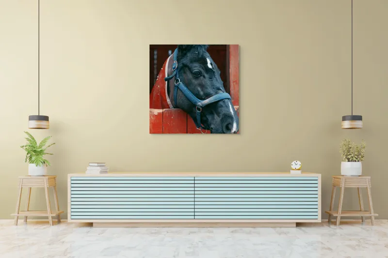 Tablou Canvas, "Calul nobil privește zarea liniștit", Cal, Zgarda, Negru, Lemn, Adăpost, Privire, Blândă, Ham, Dungă, Albă., 100 x 100 cm – poza 5