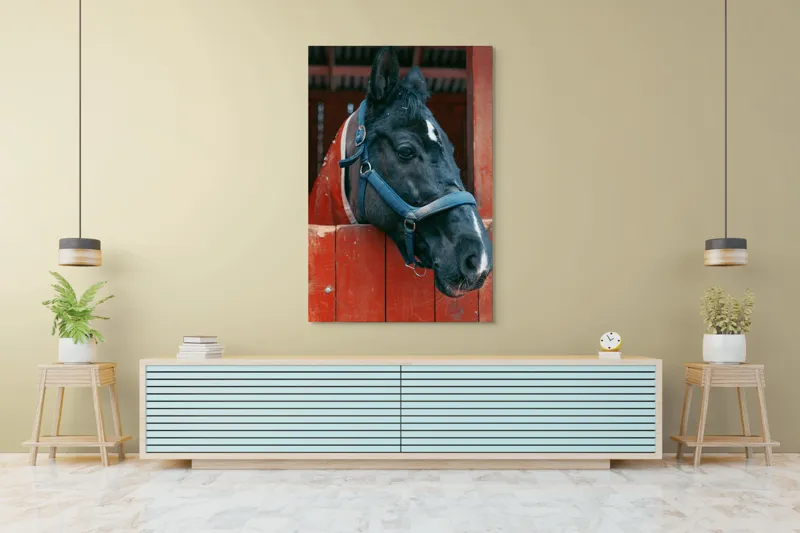 Tablou Canvas, "Calul nobil privește zarea liniștit", Cal, Zgarda, Negru, Lemn, Adăpost, Privire, Blândă, Ham, Dungă, Albă., 100 x 150 cm – poza 4
