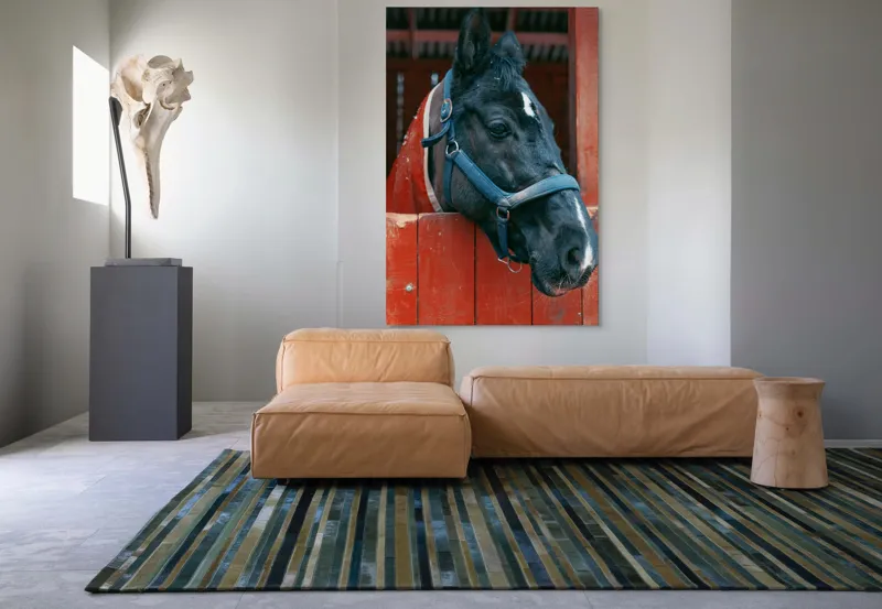 Tablou Canvas, "Calul nobil privește zarea liniștit", Cal, Zgarda, Negru, Lemn, Adăpost, Privire, Blândă, Ham, Dungă, Albă., 100 x 150 cm – poza 7