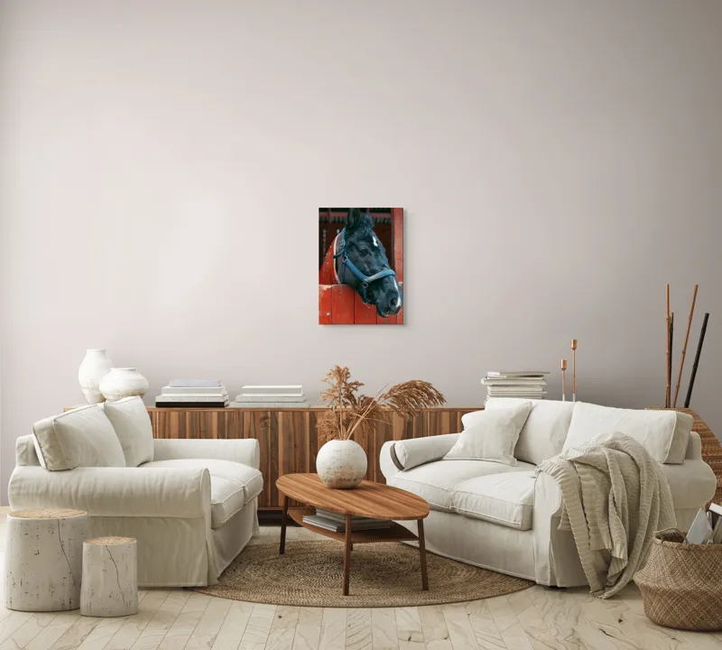 Tablou Canvas, "Calul nobil privește zarea liniștit", Cal, Zgarda, Negru, Lemn, Adăpost, Privire, Blândă, Ham, Dungă, Albă., 39 x 54 cm – poza 5