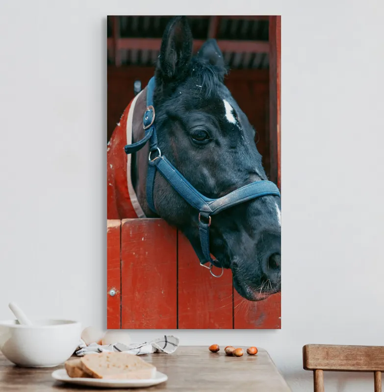 Tablou Canvas, "Calul nobil privește zarea liniștit", Cal, Zgarda, Negru, Lemn, Adăpost, Privire, Blândă, Ham, Dungă, Albă., 50 x 90 cm – poza 3