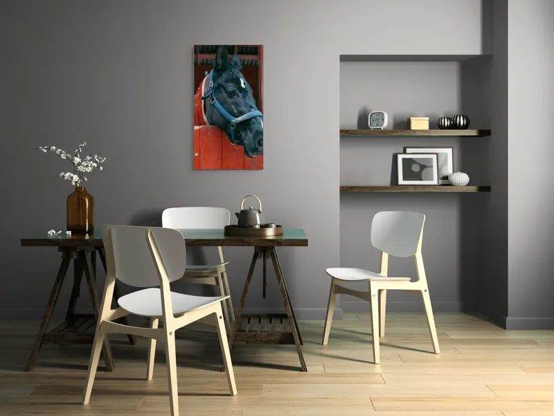 Tablou Canvas, "Calul nobil privește zarea liniștit", Cal, Zgarda, Negru, Lemn, Adăpost, Privire, Blândă, Ham, Dungă, Albă., 50 x 90 cm – poza 4