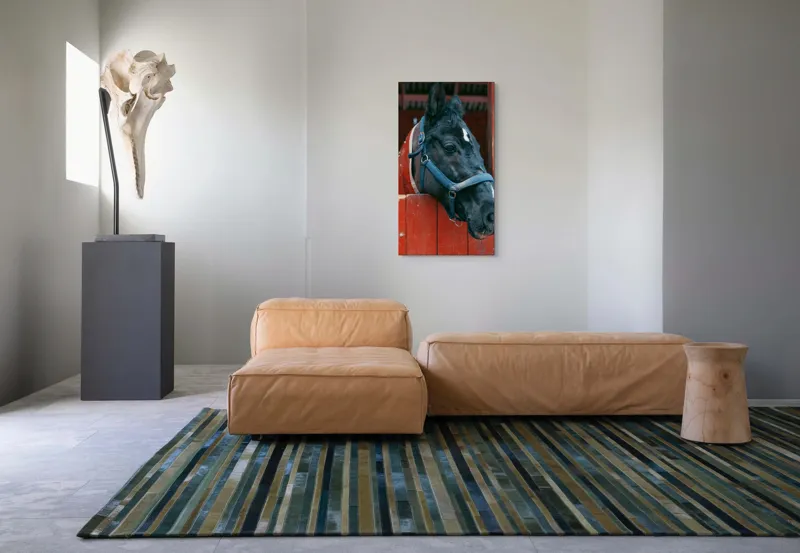 Tablou Canvas, "Calul nobil privește zarea liniștit", Cal, Zgarda, Negru, Lemn, Adăpost, Privire, Blândă, Ham, Dungă, Albă., 50 x 90 cm – poza 5