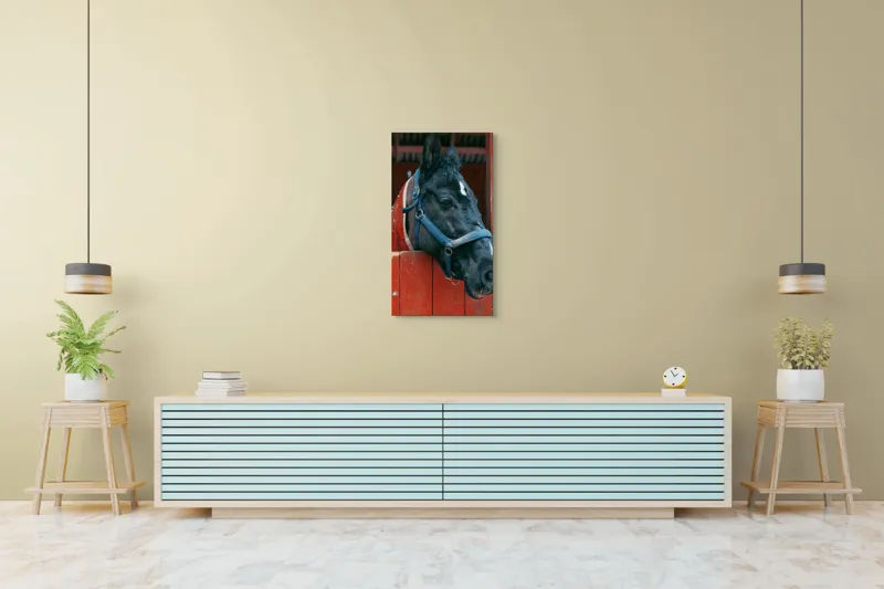 Tablou Canvas, "Calul nobil privește zarea liniștit", Cal, Zgarda, Negru, Lemn, Adăpost, Privire, Blândă, Ham, Dungă, Albă., 50 x 90 cm – poza 6