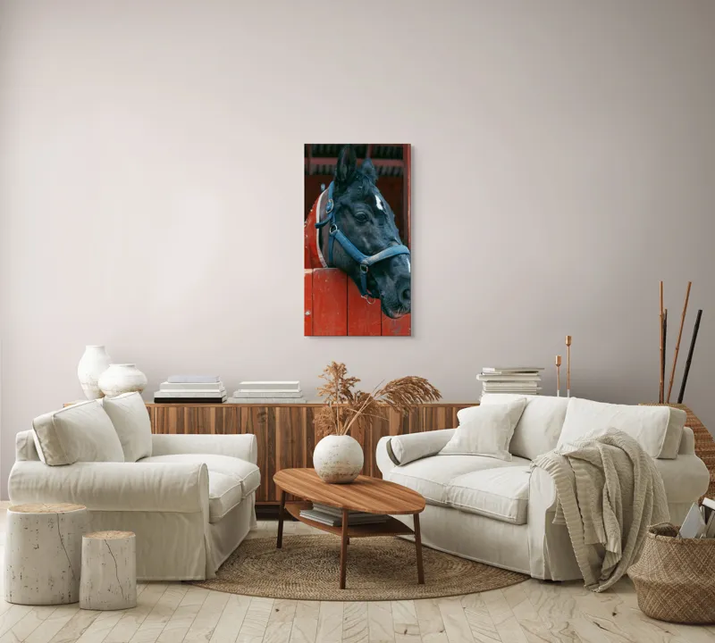 Tablou Canvas, "Calul nobil privește zarea liniștit", Cal, Zgarda, Negru, Lemn, Adăpost, Privire, Blândă, Ham, Dungă, Albă., 50 x 90 cm – poza 7