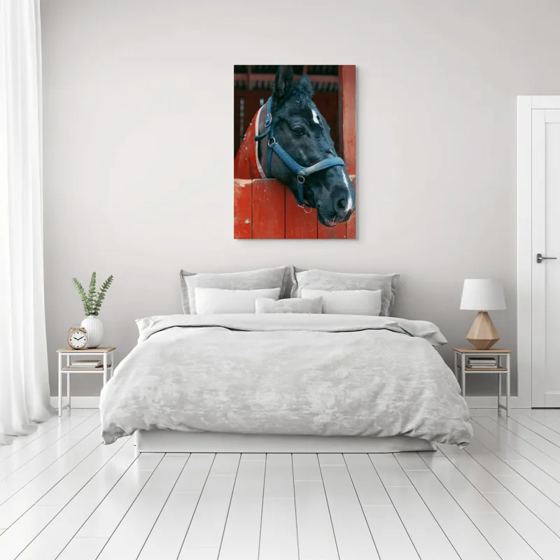 Tablou Canvas, "Calul nobil privește zarea liniștit", Cal, Zgarda, Negru, Lemn, Adăpost, Privire, Blândă, Ham, Dungă, Albă., 70 x 100 cm – poza 3