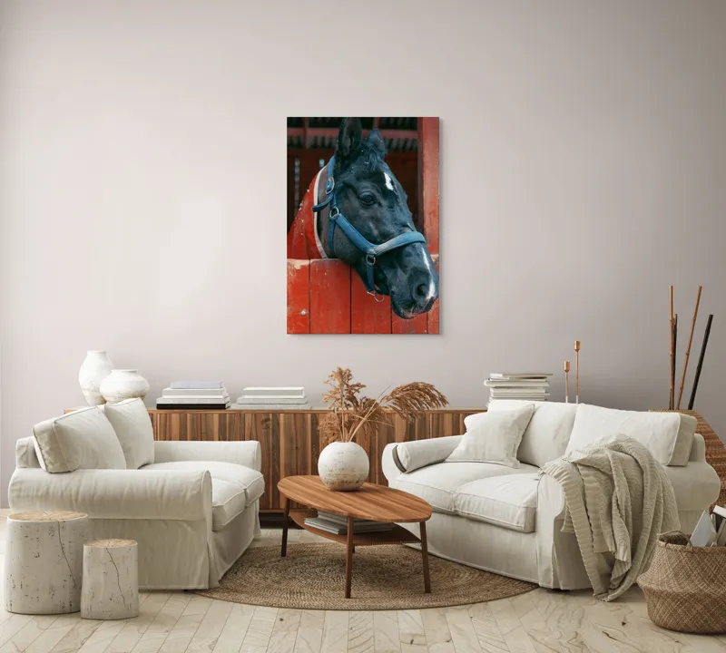 Tablou Canvas, "Calul nobil privește zarea liniștit", Cal, Zgarda, Negru, Lemn, Adăpost, Privire, Blândă, Ham, Dungă, Albă., 70 x 100 cm – poza 4