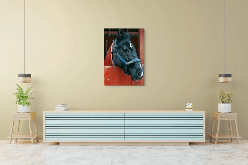Tablou Canvas, "Calul nobil privește zarea liniștit", Cal, Zgarda, Negru, Lemn, Adăpost, Privire, Blândă, Ham, Dungă, Albă., 70 x 100 cm – poza 5
