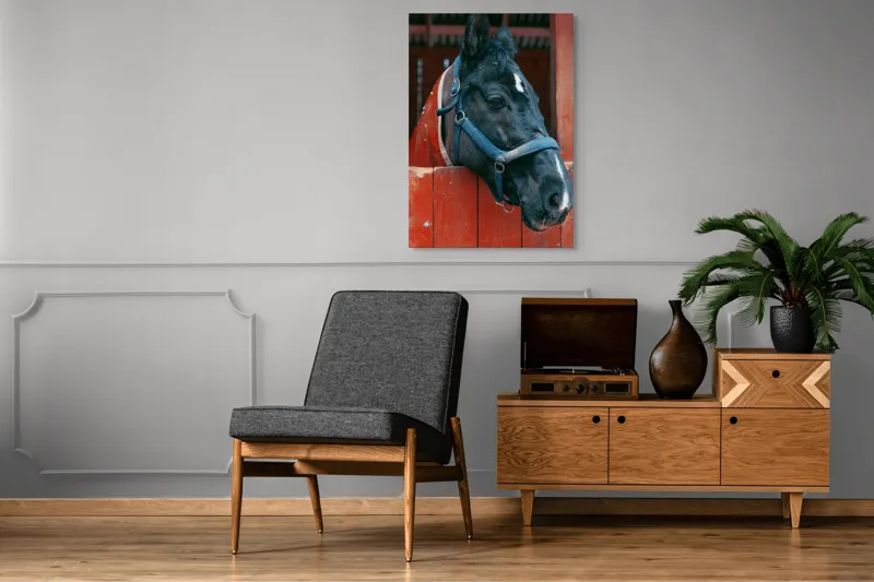 Tablou Canvas, "Calul nobil privește zarea liniștit", Cal, Zgarda, Negru, Lemn, Adăpost, Privire, Blândă, Ham, Dungă, Albă., 70 x 100 cm – poza 6