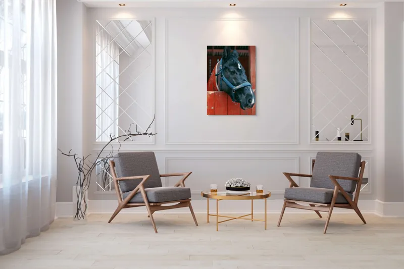 Tablou Canvas, "Calul nobil privește zarea liniștit", Cal, Zgarda, Negru, Lemn, Adăpost, Privire, Blândă, Ham, Dungă, Albă., 70 x 100 cm – poza 8