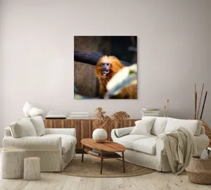 Tablou Canvas, "Maimuța călugăr savurând gustarea sa.", 100 x 100 cm – poza 3