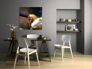 Tablou Canvas, "Maimuța călugăr savurând gustarea sa.", 100 x 100 cm – poza 6