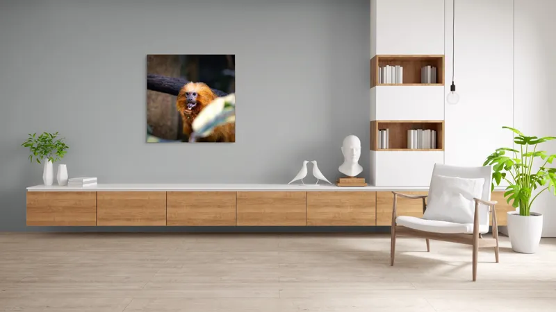 Tablou Canvas, "Maimuța călugăr savurând gustarea sa.", 100 x 100 cm – poza 8