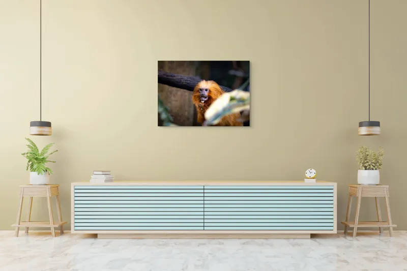 Tablou Canvas, "Maimuța călugăr savurând gustarea sa.", 100 x 70 cm – poza 4