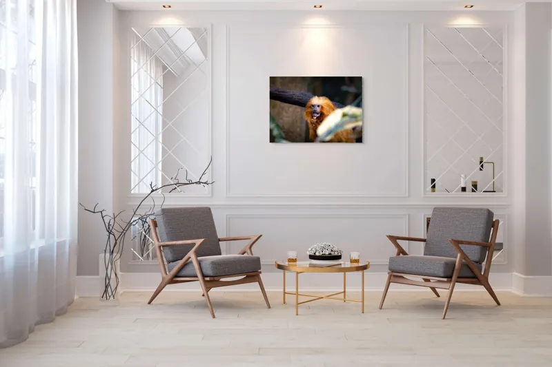 Tablou Canvas, "Maimuța călugăr savurând gustarea sa.", 100 x 70 cm – poza 5