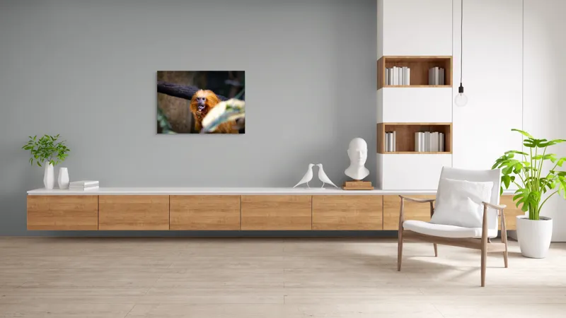 Tablou Canvas, "Maimuța călugăr savurând gustarea sa.", 100 x 70 cm – poza 6