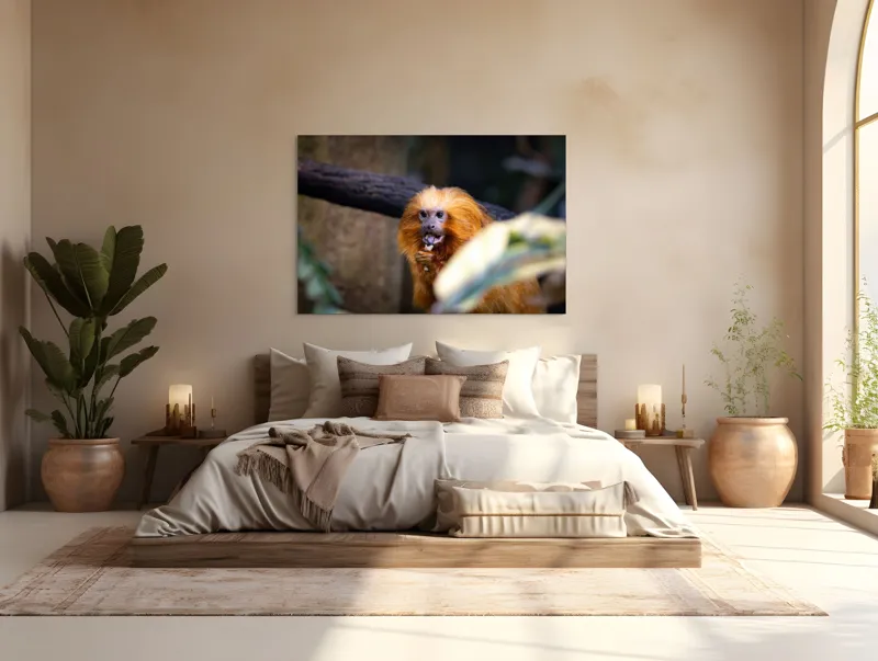 Tablou Canvas, "Maimuța călugăr savurând gustarea sa.", 150 x 100 cm – poza 4