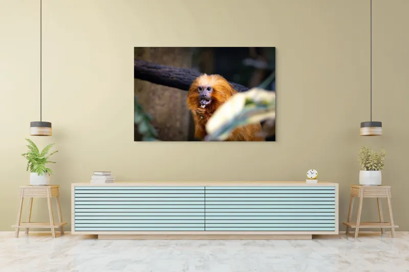 Tablou Canvas, "Maimuța călugăr savurând gustarea sa.", 150 x 100 cm – poza 6