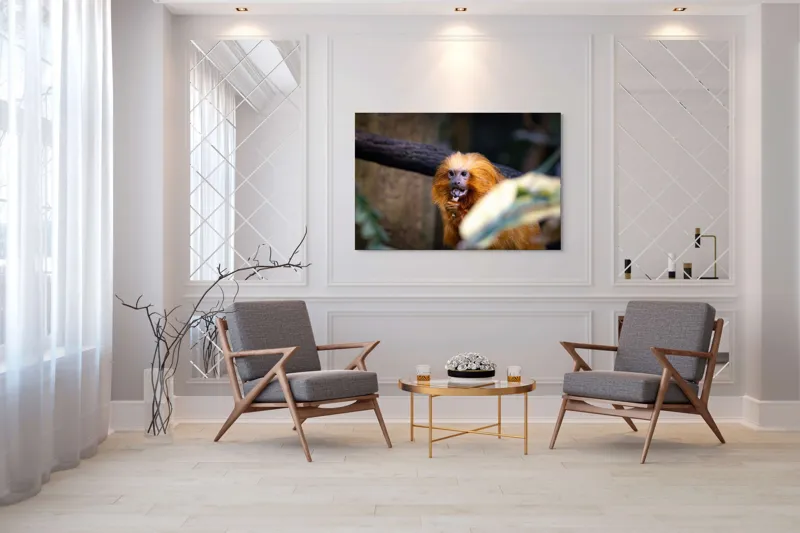 Tablou Canvas, "Maimuța călugăr savurând gustarea sa.", 150 x 100 cm – poza 7