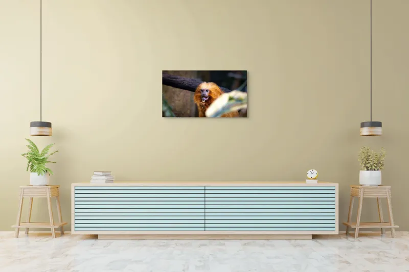 Tablou Canvas, "Maimuța călugăr savurând gustarea sa.", 90 x 50 cm – poza 5