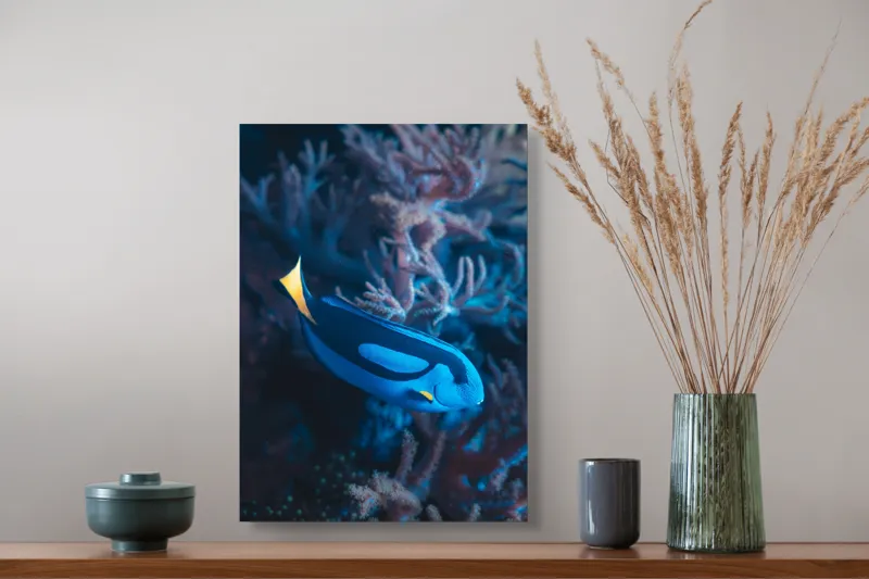 Tablou Canvas, "Peștișor azuriu în adâncurile oceanului", Albastru, Vibrant, Coral, Acvatic, Înotător, Oceanic, Exotism, Grație, Eleganță, Natură, 39 x 54 cm – poza 3