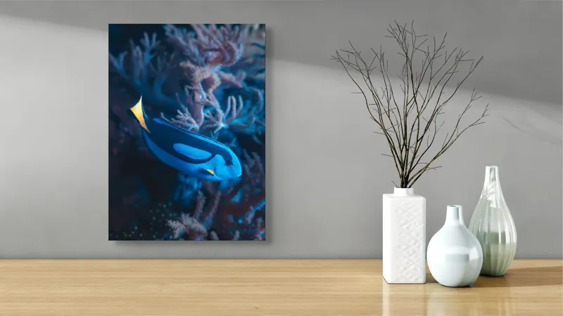 Tablou Canvas, "Peștișor azuriu în adâncurile oceanului", Albastru, Vibrant, Coral, Acvatic, Înotător, Oceanic, Exotism, Grație, Eleganță, Natură, 39 x 54 cm – poza 4