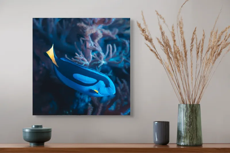 Tablou Canvas, "Peștișor azuriu în adâncurile oceanului", Albastru, Vibrant, Coral, Acvatic, Înotător, Oceanic, Exotism, Grație, Eleganță, Natură, 50 x 50 cm – poza 4