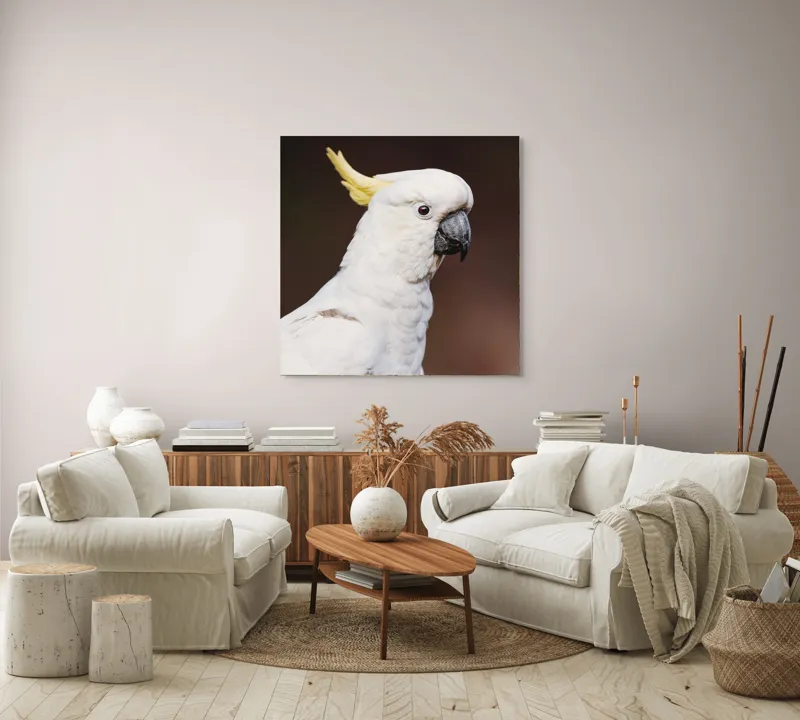Tablou Canvas, "Papagalul alb cu moț galben", Pasăre, Cacadu, Alb, Creastă, Cioc, Pene, Culoare, Ochii, Frumos., 100 x 100 cm – poza 3