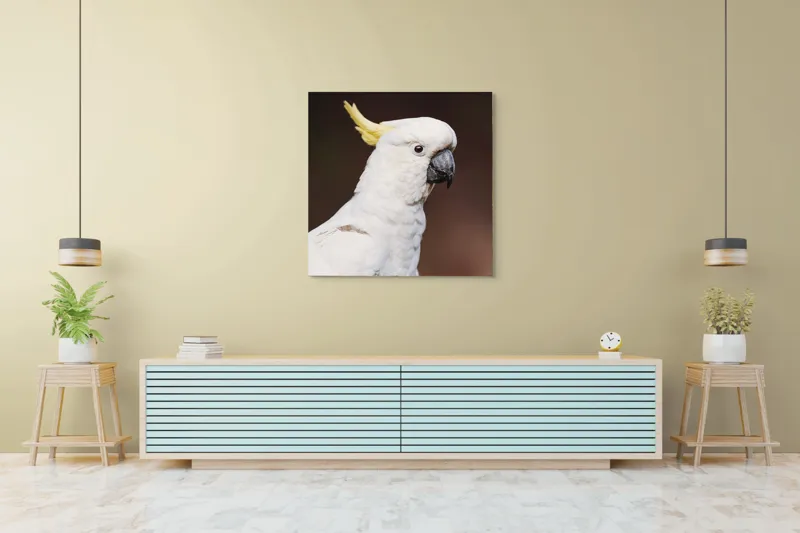 Tablou Canvas, "Papagalul alb cu moț galben", Pasăre, Cacadu, Alb, Creastă, Cioc, Pene, Culoare, Ochii, Frumos., 100 x 100 cm – poza 5