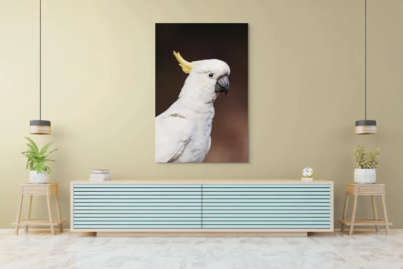 Tablou Canvas, "Papagalul alb cu moț galben", Pasăre, Cacadu, Alb, Creastă, Cioc, Pene, Culoare, Ochii, Frumos., 100 x 150 cm – poza 4