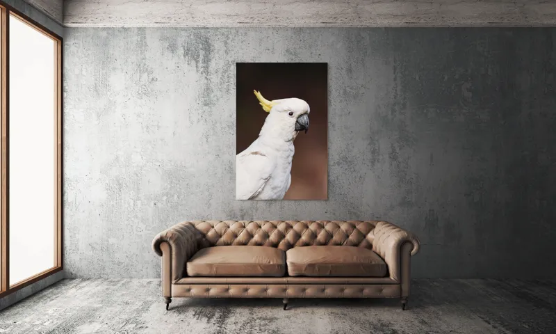 Tablou Canvas, "Papagalul alb cu moț galben", Pasăre, Cacadu, Alb, Creastă, Cioc, Pene, Culoare, Ochii, Frumos., 100 x 150 cm – poza 6