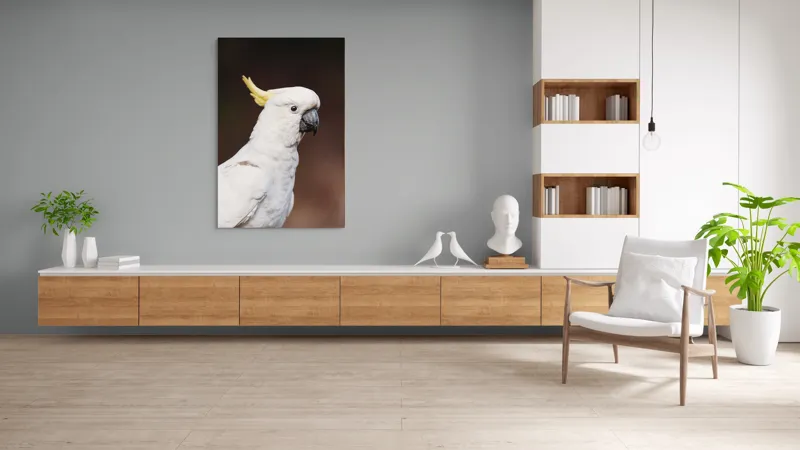 Tablou Canvas, "Papagalul alb cu moț galben", Pasăre, Cacadu, Alb, Creastă, Cioc, Pene, Culoare, Ochii, Frumos., 100 x 150 cm – poza 8
