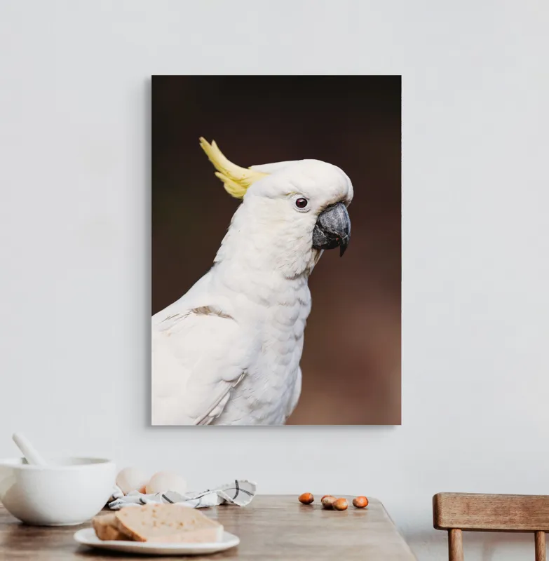 Tablou Canvas, "Papagalul alb cu moț galben", Pasăre, Cacadu, Alb, Creastă, Cioc, Pene, Culoare, Ochii, Frumos., 50 x 70 cm – poza 3