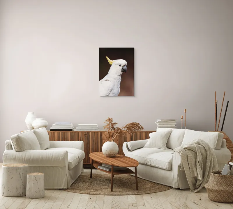 Tablou Canvas, "Papagalul alb cu moț galben", Pasăre, Cacadu, Alb, Creastă, Cioc, Pene, Culoare, Ochii, Frumos., 50 x 70 cm – poza 4