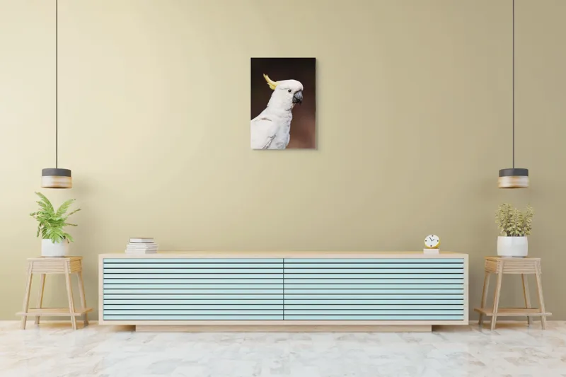 Tablou Canvas, "Papagalul alb cu moț galben", Pasăre, Cacadu, Alb, Creastă, Cioc, Pene, Culoare, Ochii, Frumos., 50 x 70 cm – poza 6