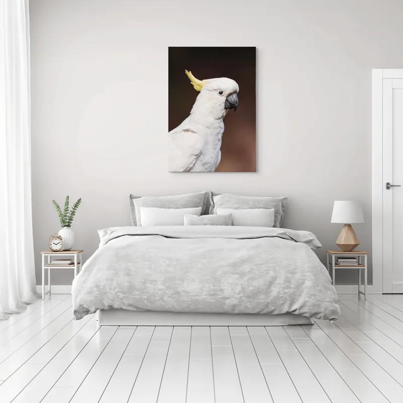 Tablou Canvas, "Papagalul alb cu moț galben", Pasăre, Cacadu, Alb, Creastă, Cioc, Pene, Culoare, Ochii, Frumos., 70 x 100 cm – poza 3