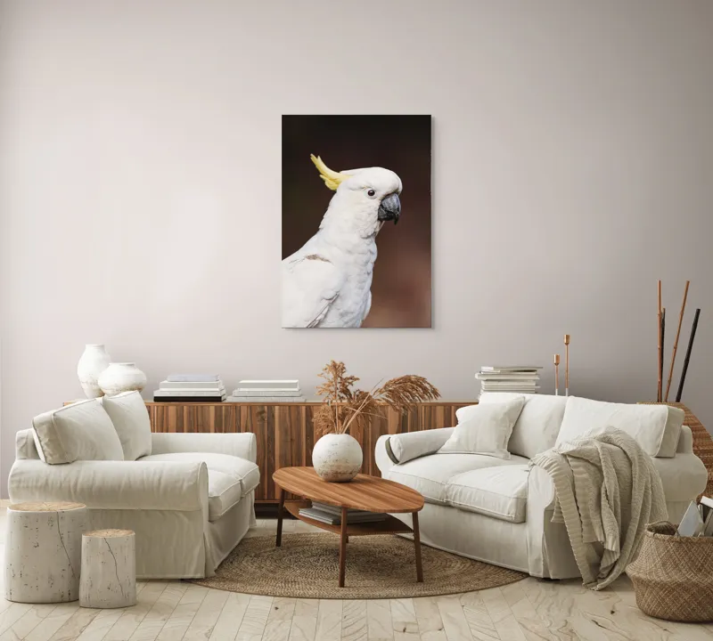Tablou Canvas, "Papagalul alb cu moț galben", Pasăre, Cacadu, Alb, Creastă, Cioc, Pene, Culoare, Ochii, Frumos., 70 x 100 cm – poza 4