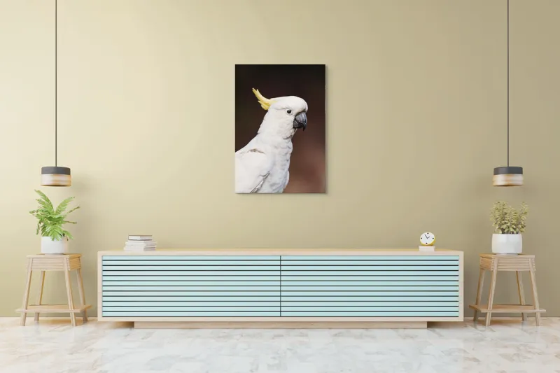 Tablou Canvas, "Papagalul alb cu moț galben", Pasăre, Cacadu, Alb, Creastă, Cioc, Pene, Culoare, Ochii, Frumos., 70 x 100 cm – poza 5