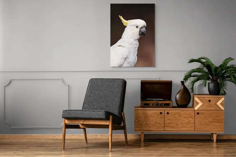 Tablou Canvas, "Papagalul alb cu moț galben", Pasăre, Cacadu, Alb, Creastă, Cioc, Pene, Culoare, Ochii, Frumos., 70 x 100 cm – poza 6