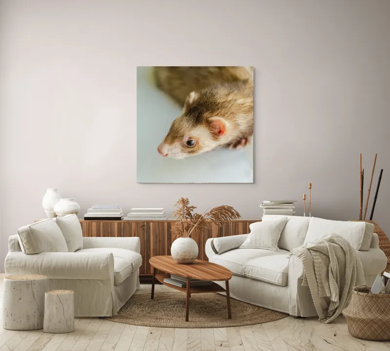 Tablou Canvas, "Jocul jucăuș al dihorului domestic", Nu pot spune cine este în imagine, dar pare a fi un dihor., 100 x 100 cm – poza 3
