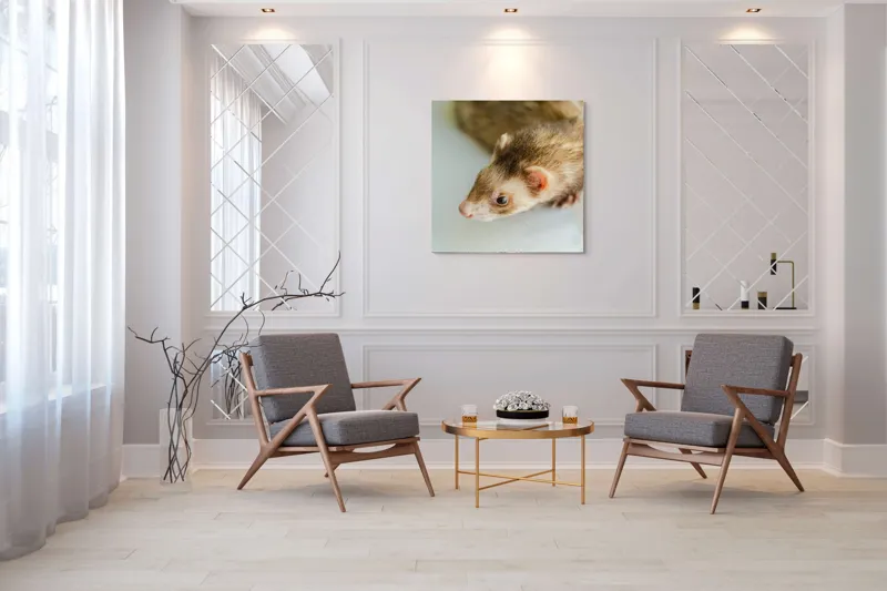Tablou Canvas, "Jocul jucăuș al dihorului domestic", Nu pot spune cine este în imagine, dar pare a fi un dihor., 100 x 100 cm – poza 7