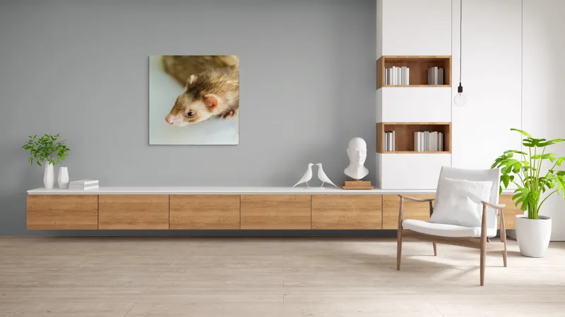 Tablou Canvas, "Jocul jucăuș al dihorului domestic", Nu pot spune cine este în imagine, dar pare a fi un dihor., 100 x 100 cm – poza 8