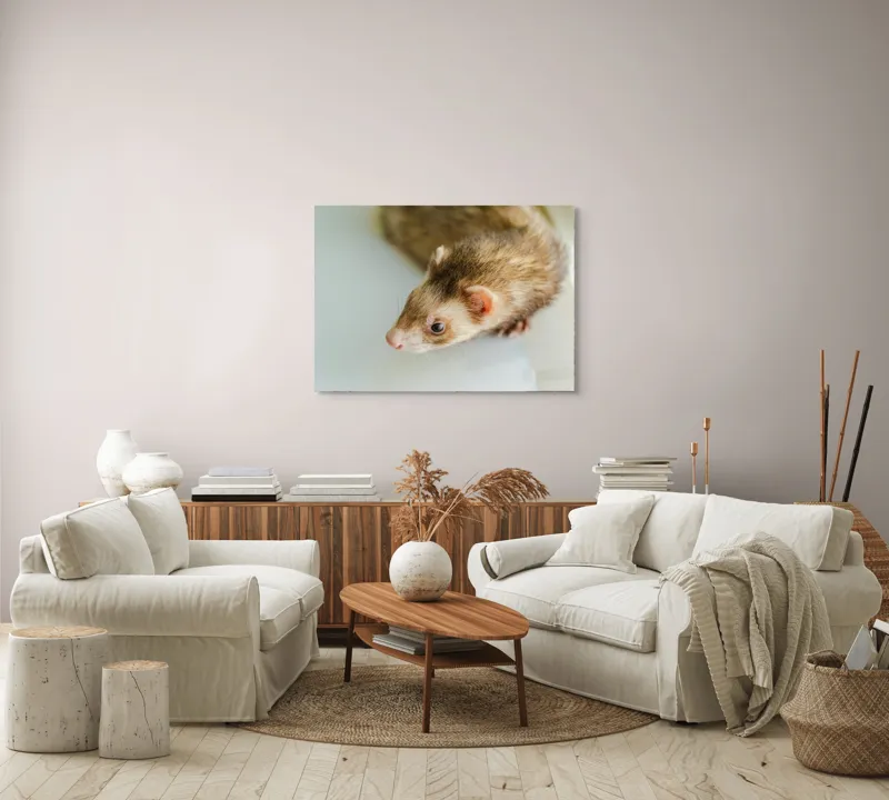 Tablou Canvas, "Jocul jucăuș al dihorului domestic", 100 x 70 cm – poza 3