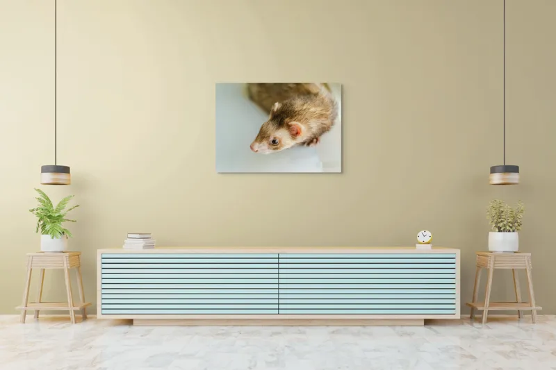 Tablou Canvas, "Jocul jucăuș al dihorului domestic", 100 x 70 cm – poza 4