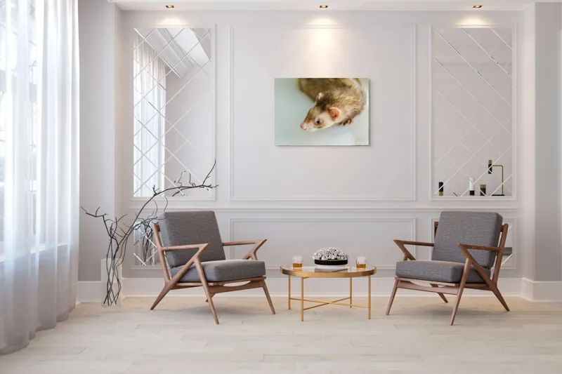 Tablou Canvas, "Jocul jucăuș al dihorului domestic", 100 x 70 cm – poza 5