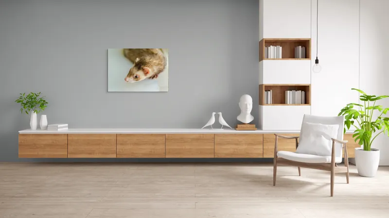 Tablou Canvas, "Jocul jucăuș al dihorului domestic", 100 x 70 cm – poza 6
