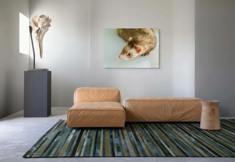 Tablou Canvas, "Jocul jucăuș al dihorului domestic", 100 x 70 cm – poza 7
